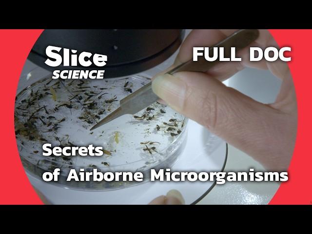 The Hidden World of Airborne Microorganisms | SLICE SCIENCE | FULL DOC