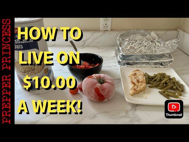 EXTREME BUDGET $10.00 WEEKLY GROCERY BUDGET