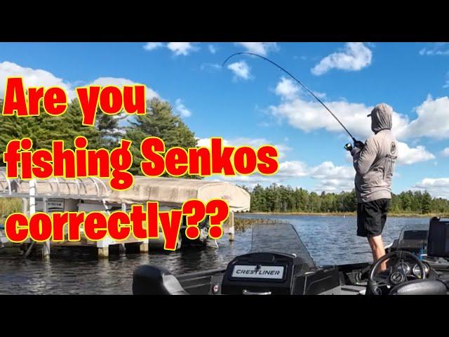 The Surprising Bass Fishing Mistake You're Making with Senko Lures