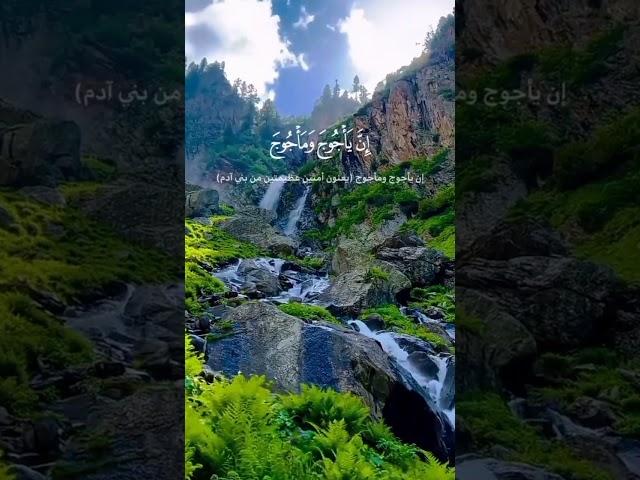 القرآن الكريم ️