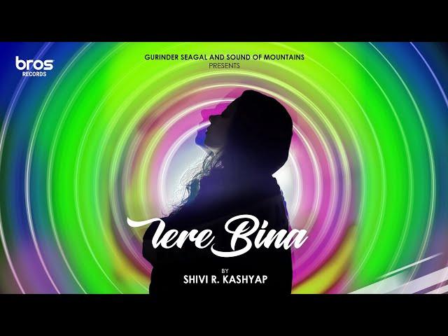 Tere Bina - Shivi R Kashyap X Codie | Official Audio