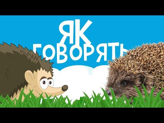 ЯК ГОВОРЯТЬ ТВАРИНИ! Розвиваючі мультики для дітей українською мовою