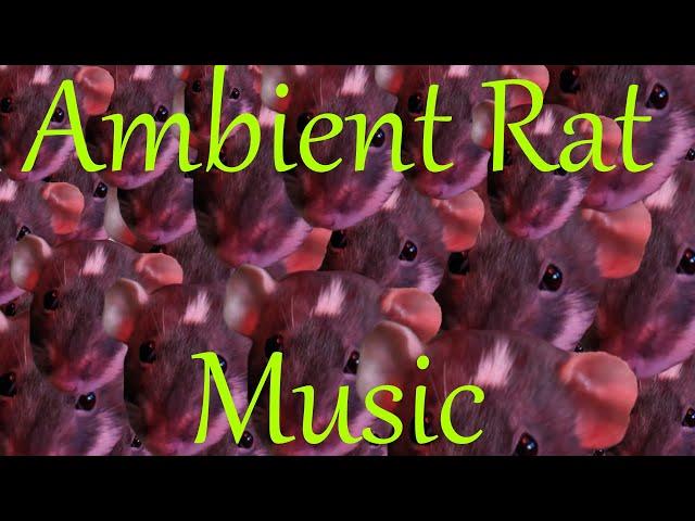 Ambient Rat Music - A Song by The Rat  Man Bob