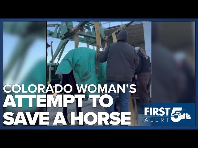 Colorado woman drives hundreds of miles to help starving horse