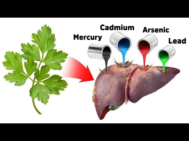 The Best Strategy for Detoxifying Heavy Metals (SAFELY)