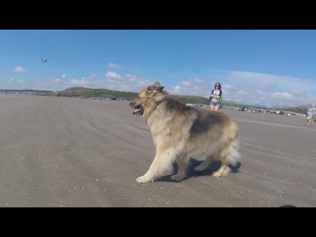 Family Trip to Wales