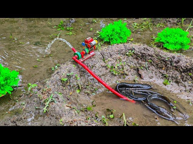 How To Catch Fish Using Mini Water Pump - Fishing Exciting Science Project