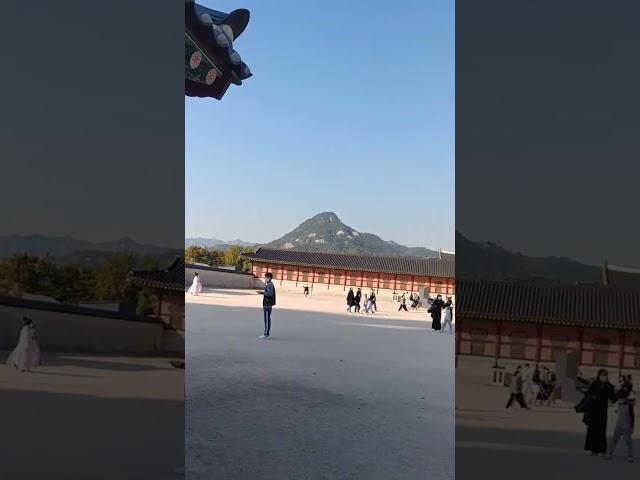 서울 경복궁#좋아 좋아#시절인연#좋은날#좋아요#가수#안성훈
