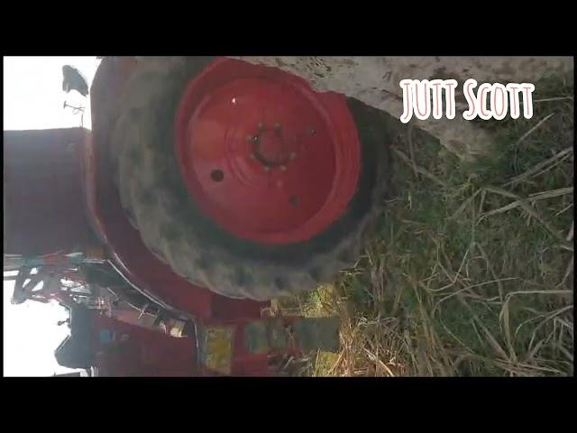 Sugarcane Barwaie || Ganne ka season||Sugarcane farming ||Going to Mill || By JUTT Scott