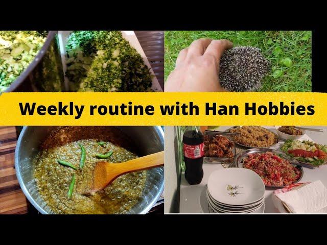 weekly routine with German side