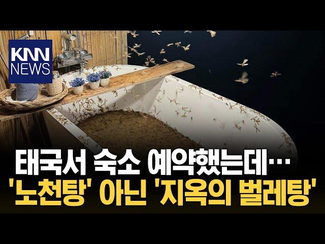 이게 노천탕이라고?! 태국 숙소 상태에../ KNN