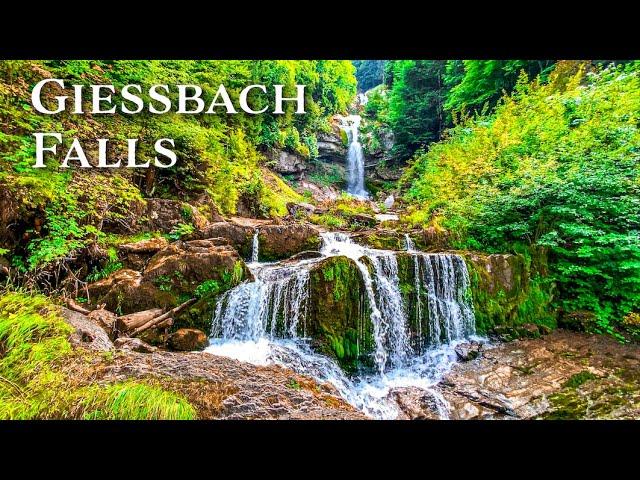 Dreamy waterfalls in Switzerland  Trip to Giessbach Falls | Switzerland 4K