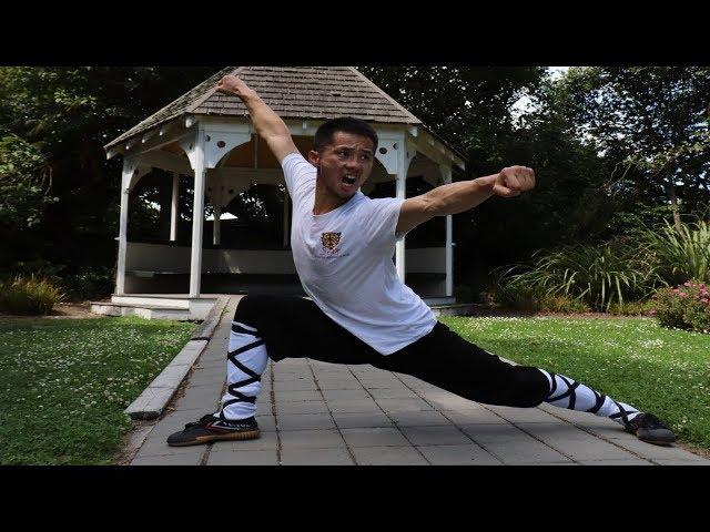 Shaolin Kung Fu Wushu Training-Seven Star Fist Tutorial Part 1 ( Top 10 Famous Form )