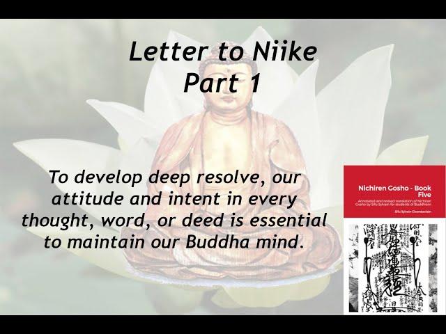 Letter to Niike - Part 1