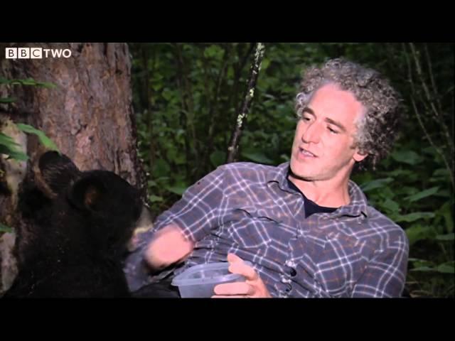 Gordon Buchanan Helps Abandoned Bear Cub - The Bear Family and Me - BBC