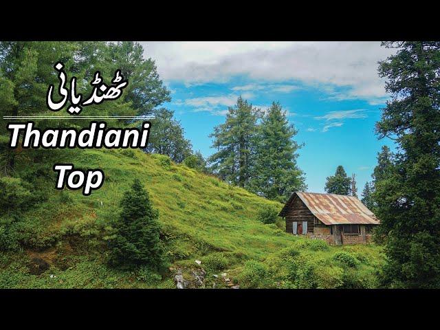 Thandiani Top Abbottabad | Hill Station of Pakistan