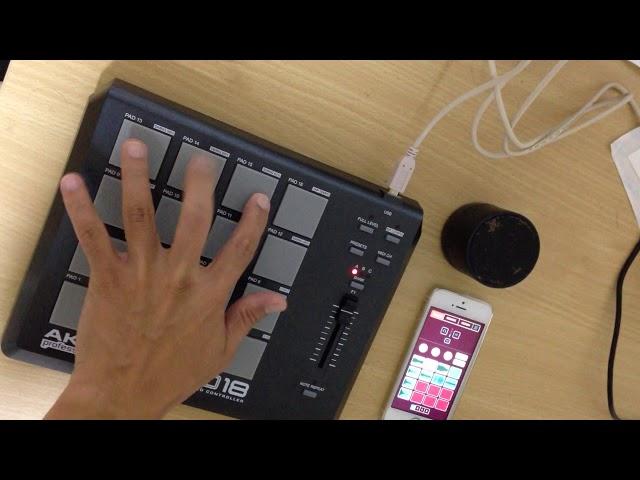 koala sampler with akai mpd18 with bluetooth speaker test