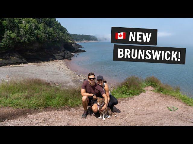 Exploring NEW BRUNSWICK  | TWO national parks, trying Acadian food, & MORE!