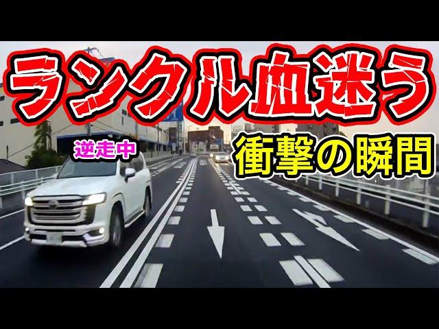 【ドラレコ】盗難車か？逃走中か？・・・逆走に信号無視！何でもありのランクルの暴走【交通安全推進、危険予知トレーニング】