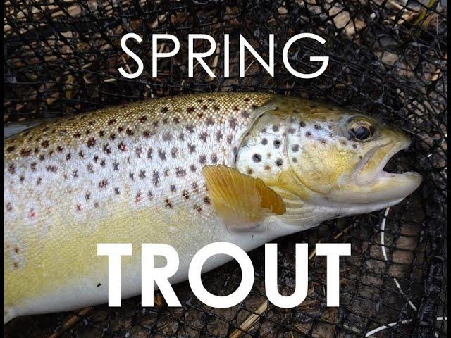 BROWN TROUT SPRING FISHING. ART MERK FLY FISHING ADVENTURES S2E2