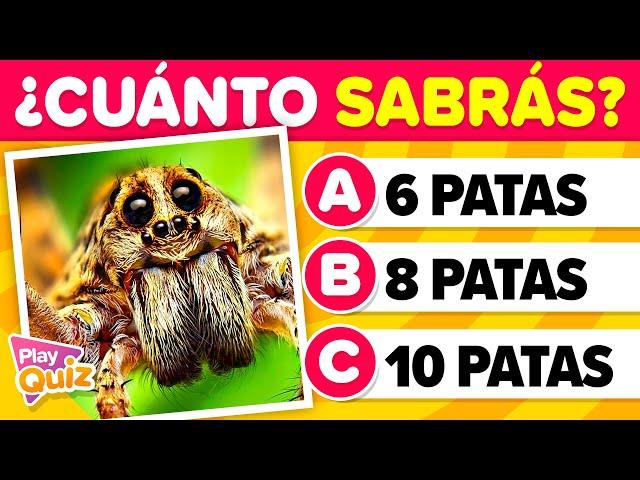 Preguntas que deberías Saber  - Nivel Fácil  | Cultura General | PlayQuiz Trivia