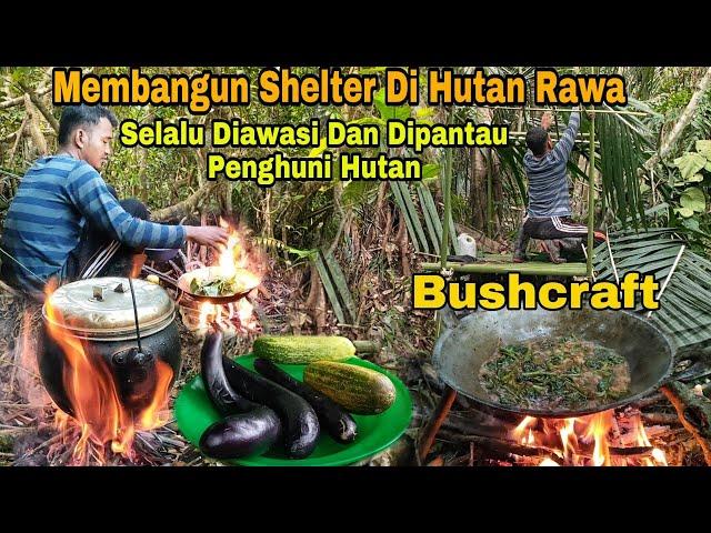 Membangun Shelter Di Hutan Rawa - Selalu Diawasi Dan Dipantau Penghuni Hutan - BUSHCRAFT