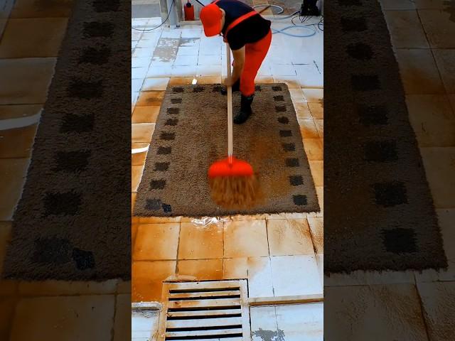 Amazing Carpet cleaning scraping stages #shorts