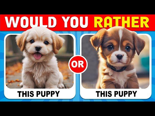 Would You Rather...? ANIMALS Edition  GlamQuiz