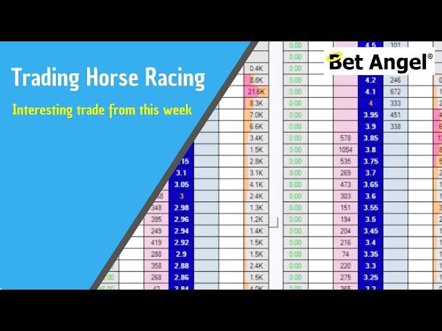 Peter Webb, Bet Angel - Interesting horse racing trade from this week