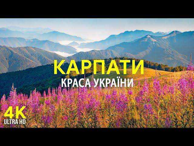 Унікальність Карпат - Культура і традиції мальовничого регіону України - Документальний фільм в 4К