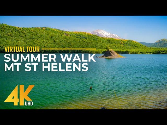 4K Relaxing Summer Walk at Mount St Helens - Coldwater Lake Hike + Nature Sounds & Ambient Music