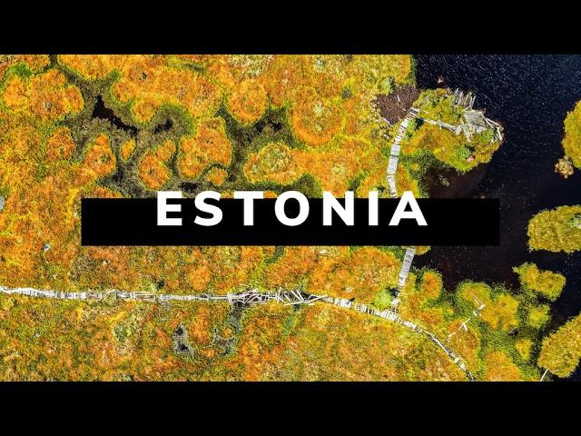 ESTONIA TRAVEL DOCUMENTARY | A Baltic Road Trip Adventure