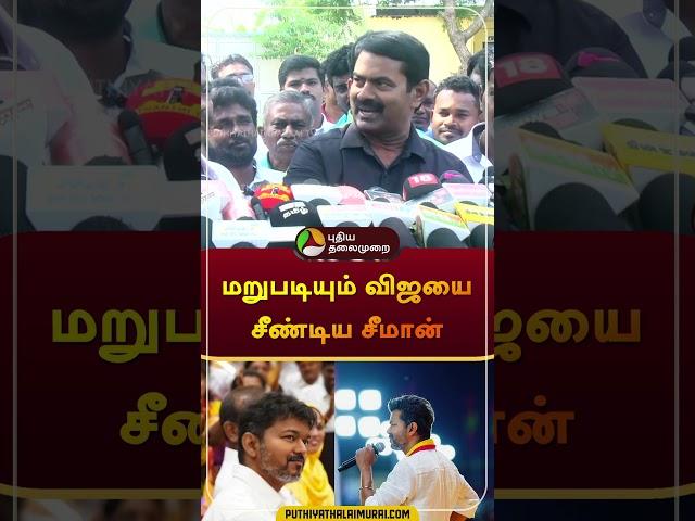 மறுபடியும் விஜயை சீண்டிய சீமான் | #seeman | #ntk | #vijay | #tvk | #shorts