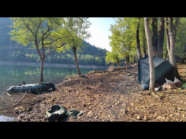 Un POISSON SURPUISSANT, elle me déroule dans 27 M d'eau.  CARPE en Lac De Montagne.