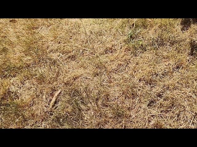 Is our yard dry?