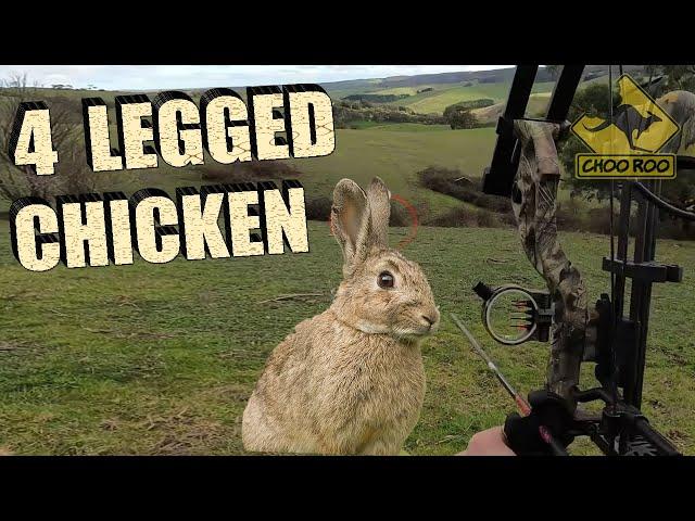 BOW HUNTING RABBITS - South Australia