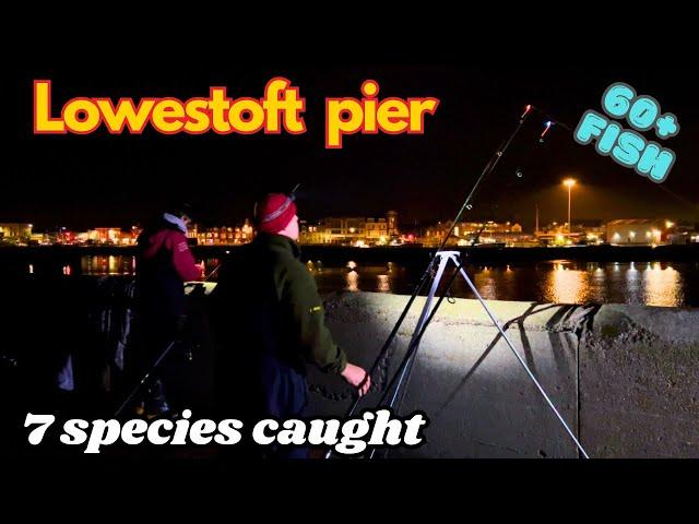 Sea fishing Lowestoft pier & harbour 7 species caught night session meet up Suffolk