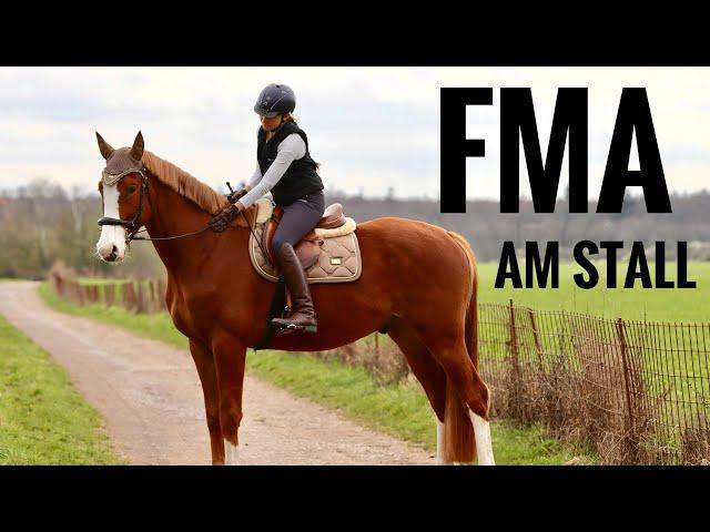 Stall FMA - gemeinsam im Stall mit meinem Pferd