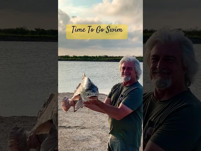 Black Drum Bite During the Day! #fishing #blackdrum
