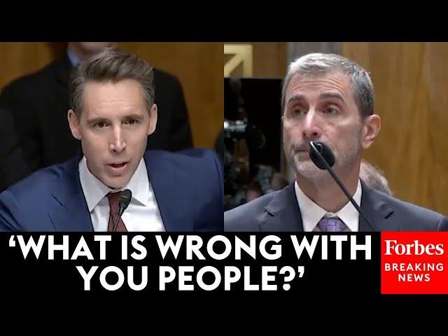 'That's Not A Rhetorical Question': Josh Hawley Goes Nuclear On Big Tech Execs In Fiery Exchange