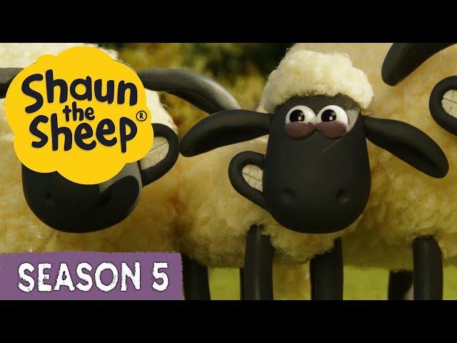 Shaun the Sheep Season 5  All Episodes (1-20)  Fun, Laughs & Adventure | Cartoons for Kids