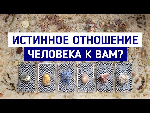 Истинное отношение человека к Вам? | 6 вариантов | Гадание онлайн | Таро расклад | Таро терапия Души