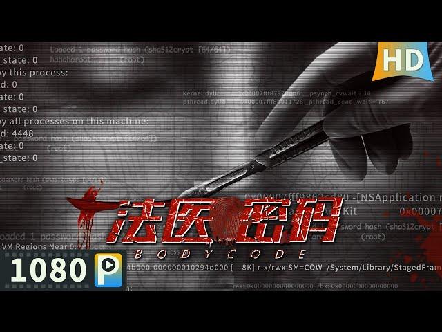 【#法医密码 / Body Code】【悬疑犯罪】法医查办一起无名女尸案 背后竟隐藏着连环杀人事件！| Full | 刘禹 / 陶桃