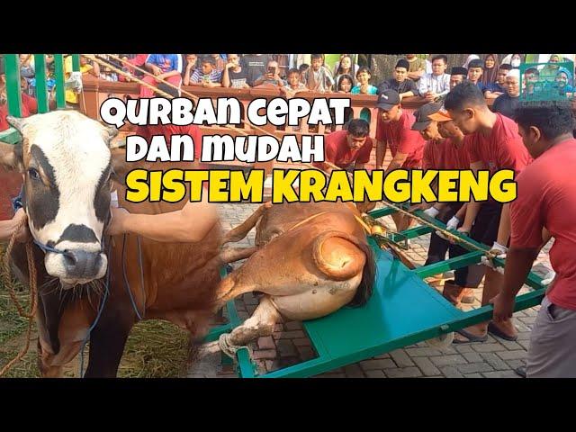 Sistem Krangkeng - Qurban Lebih Cepat dan Mudah