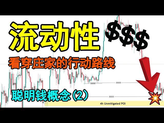 【聪明钱概念系列#2】使用流动性揭秘庄家盈利的手段! |流动性是唯一可以看穿庄家路线的技术面分析！|具体掌握流动性交易策略，帮助你解锁高胜率的交易|Smart Money Concept