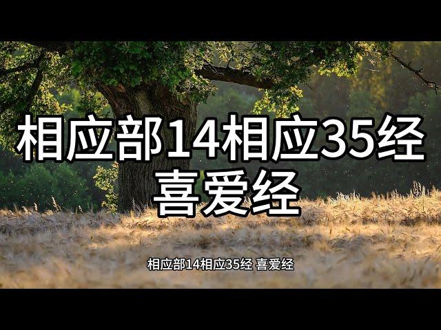 161.相应部14相应35经 喜爱经（白话佛经）解说