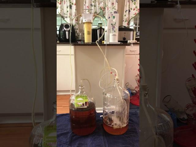 ALLINONEWINEPUMP - RACKING, FILTERING AND DEGASSING IN 1 EASY STEP