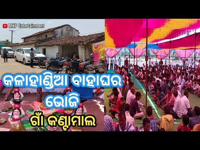 କଳାହାଣ୍ଡିଆ ବାହାଘର ଭୋଜି /Kantamal Village Marriage Bhoji /Kalahandi Village Vlogs 