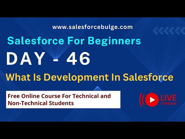 What Is Development In Salesforce | salesforce bulge