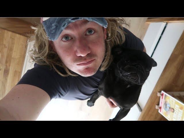 Mullet over | MVK Behind the scenes #3